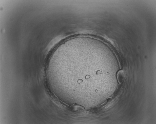 X0000062871263200601201745