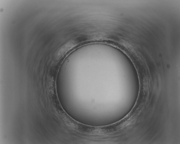 X0000062871265200601201745