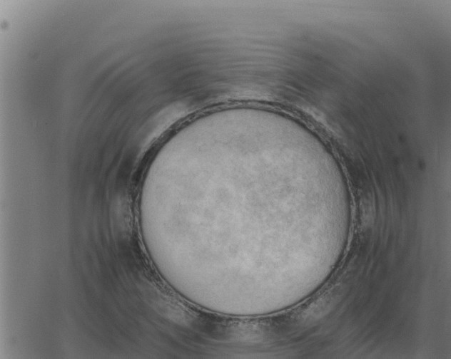 X0000062871266200601201745