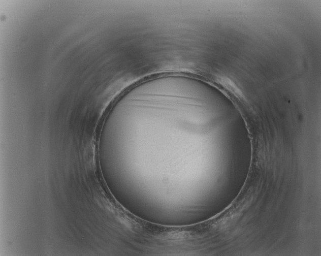 X0000062871268200601201745