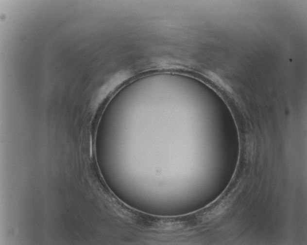 X0000062871269200601201745