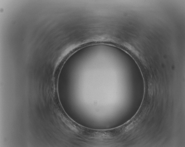 X0000062871270200601201745