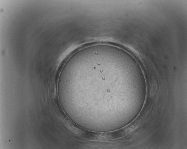 X0000062871271200601201745