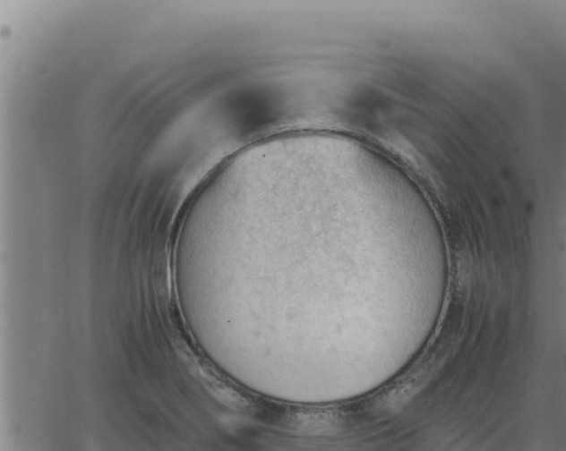 X0000062871274200601201745