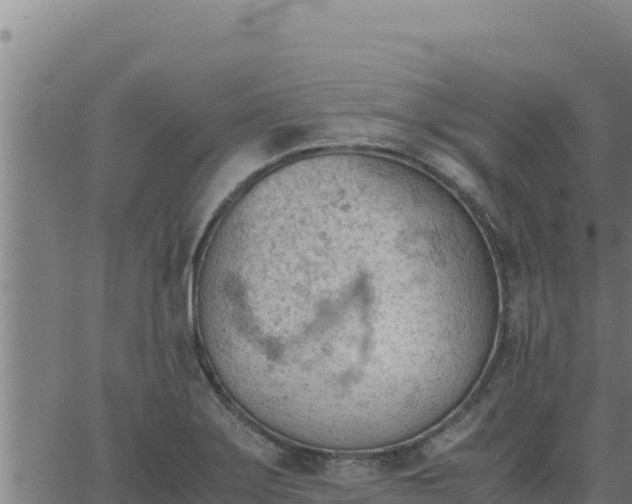 X0000062871275200601201745