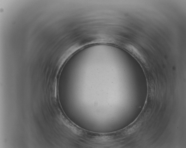 X0000062871276200601201745