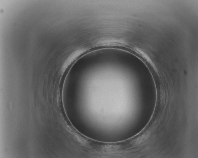 X0000062871277200601201745