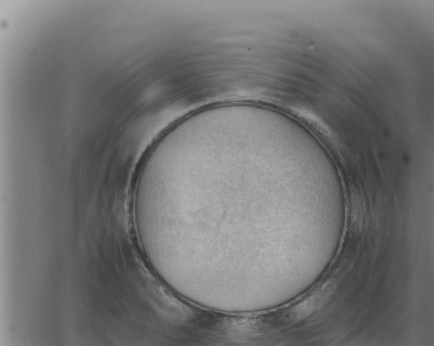 X0000062871278200601201745