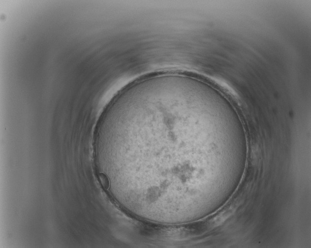 X0000062871279200601201745