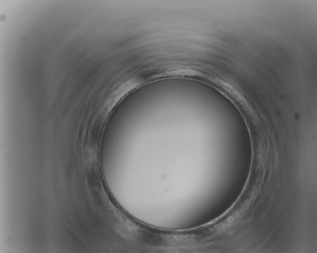 X0000062871281200601201745