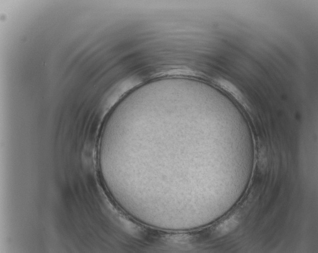 X0000062871282200601201745