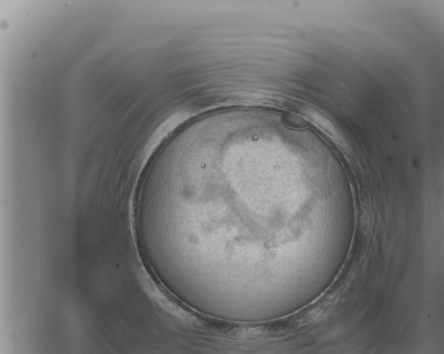 X0000062871283200601201745