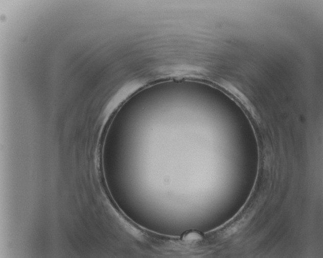 X0000062871285200601201745