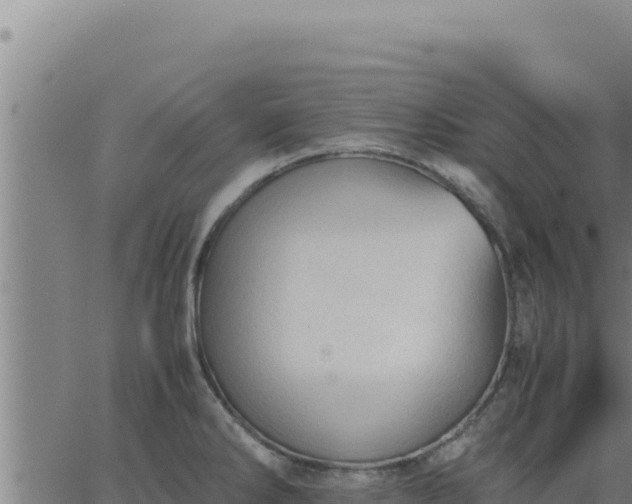 X0000062871286200601201745