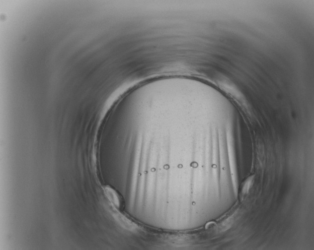 X0000062871288200601201745