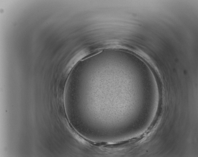 X0000062871289200601201745