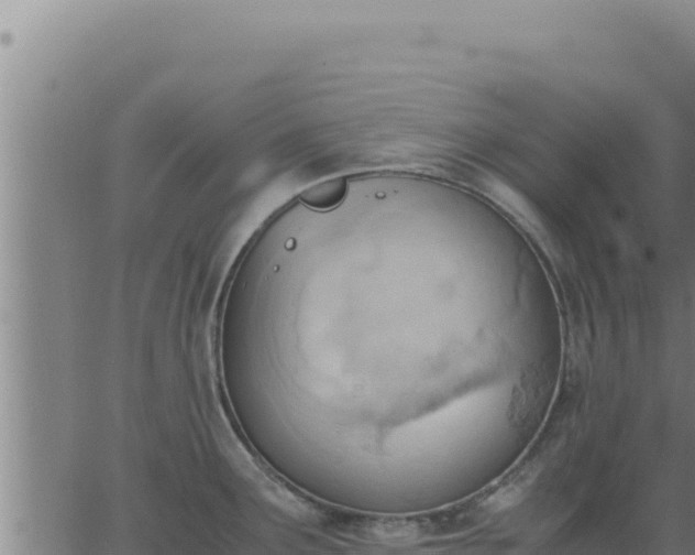 X0000062871291200601201745