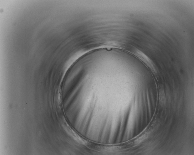 X0000062871292200601201745