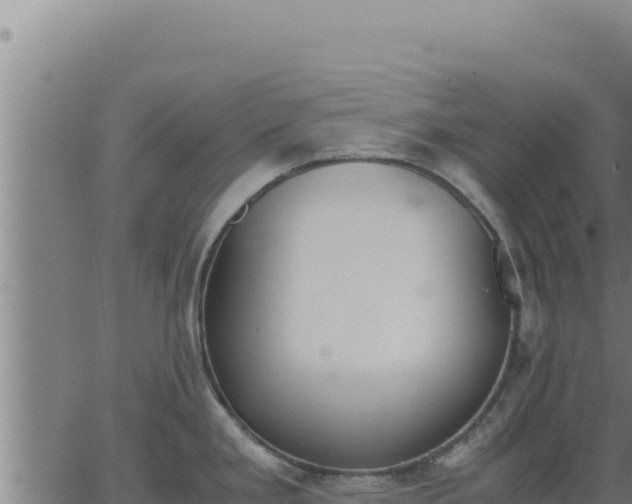 X0000062871293200601201745