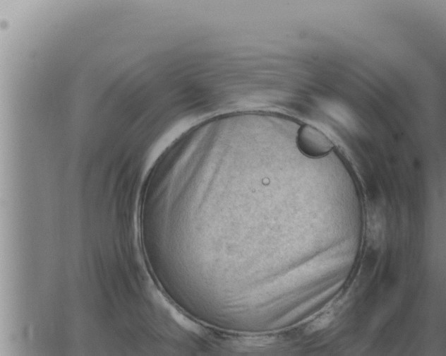 X0000062871294200601201745