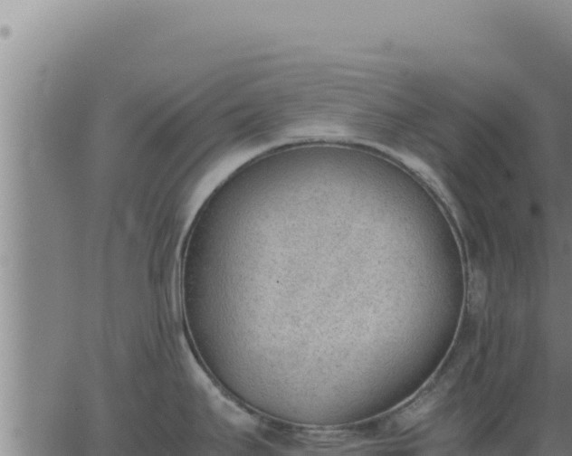 X0000062871295200601201745