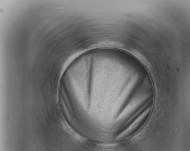 X0000062871296200601201745