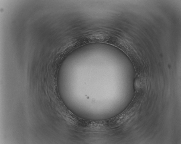 X0000062871297200601201744