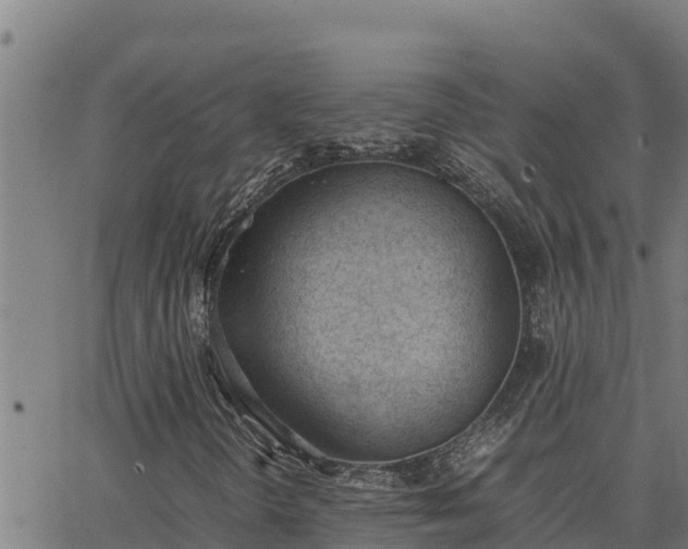 X0000062871298200601201744