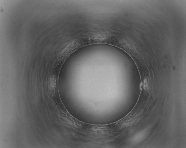 X0000062871299200601201744