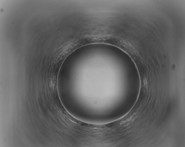 X0000062871300200601201744