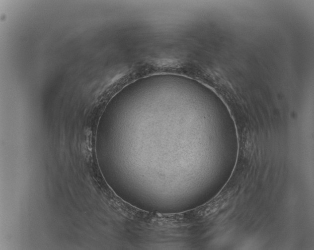 X0000062871301200601201744