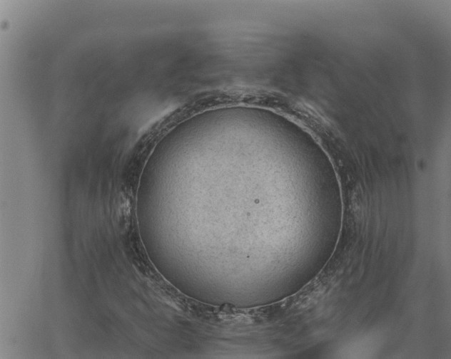 X0000062871302200601201744