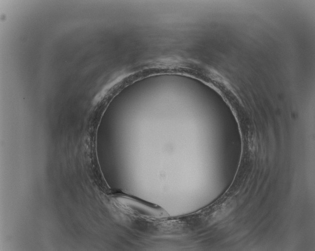 X0000062871304200601201744