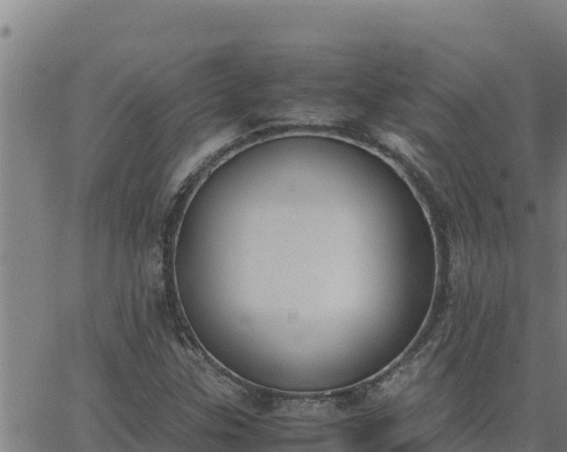 X0000062871307200601201744