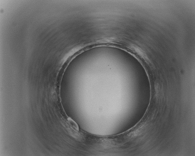 X0000062871308200601201744