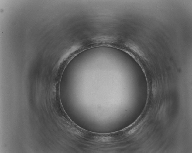 X0000062871309200601201744