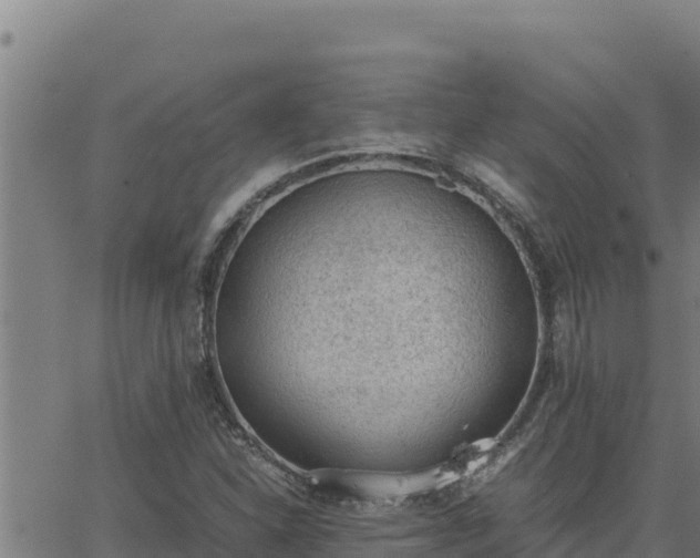 X0000062871310200601201744