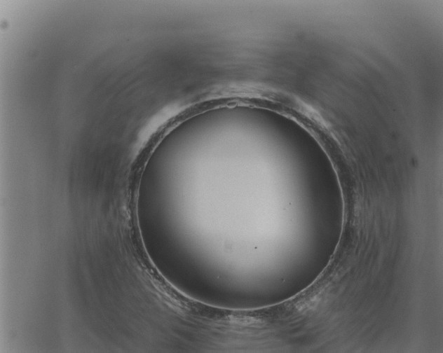 X0000062871312200601201744