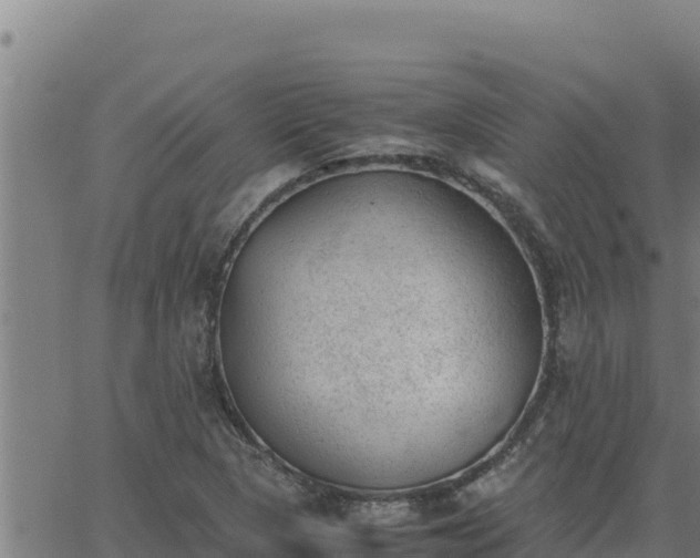 X0000062871313200601201744