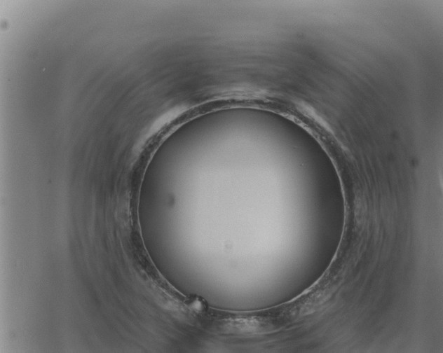 X0000062871315200601201744