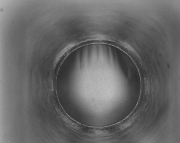 X0000062871318200601201744