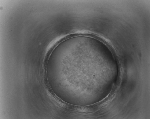 X0000062871319200601201744