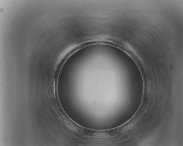 X0000062871320200601201744