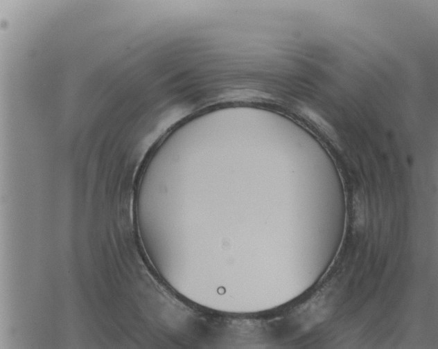 X0000062871322200601201744