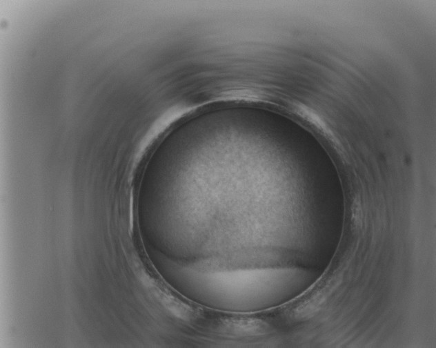 X0000062871323200601201744