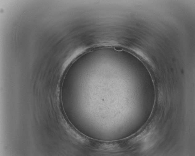 X0000062871325200601201744