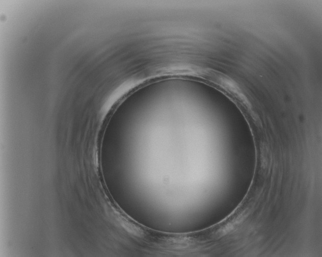 X0000062871328200601201744