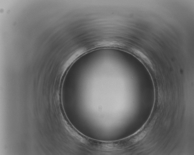 X0000062871330200601201744