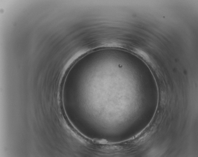 X0000062871331200601201744