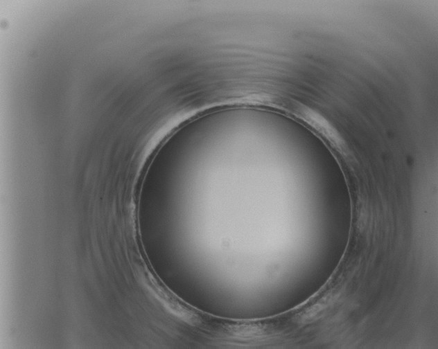 X0000062871332200601201744